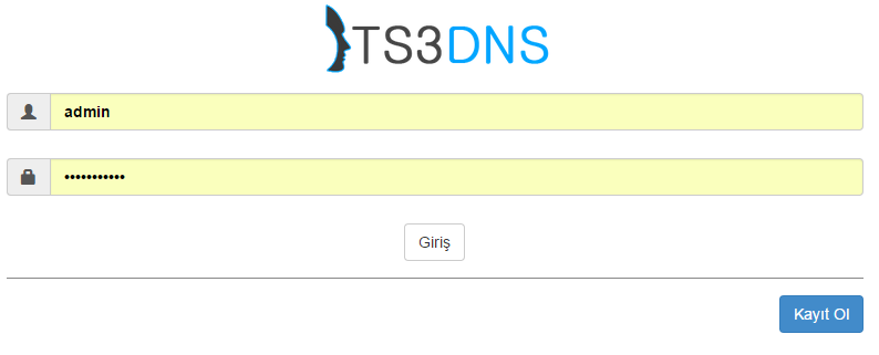 tsdns-ikinci.png